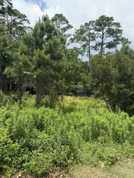 Residential Land in Established Neighborhood