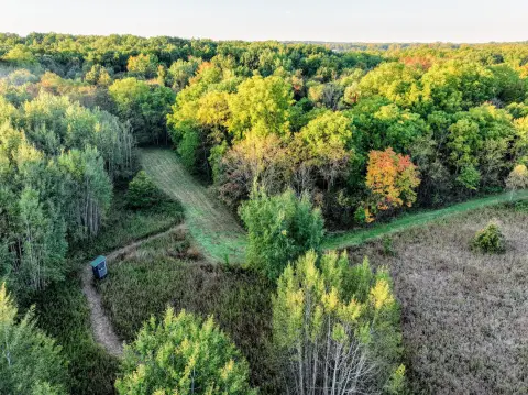 93-Acre Managed Hunting Land