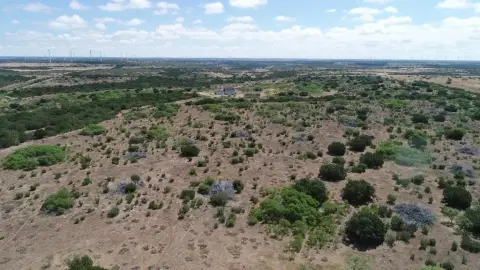 Sweetwater Ranch with Investment Potential