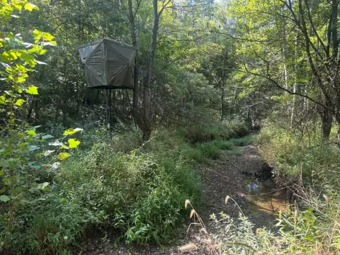 Hunting Land with Creek Frontage