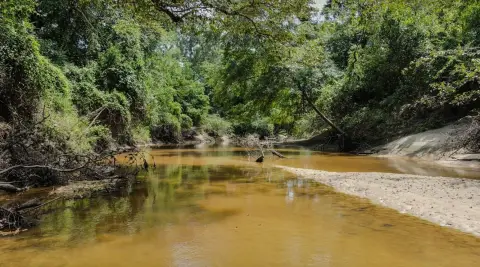 Creekfront Recreation Land