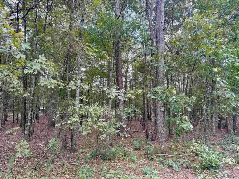 Lakeshore Subdivision Lot Available