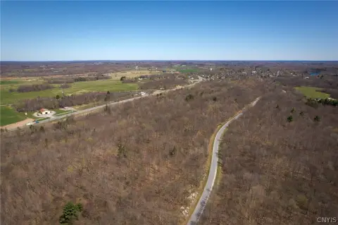 40+ Acres Vacant Land