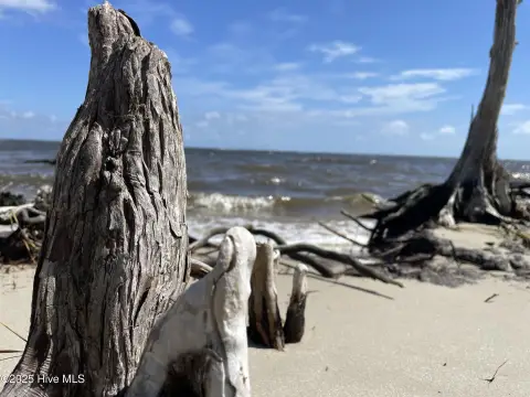 Waterfront Land on Neuse River