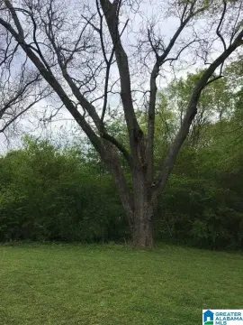 Land in Pleasant Grove, AL