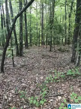 Residential Lot in Alpine, AL