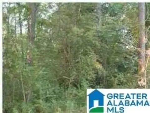 Acreage in Alpine, Alabama