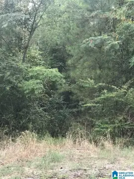 Residential Lot in Alpine, AL