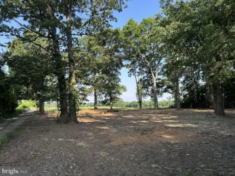 South-Facing Residential Building Lot