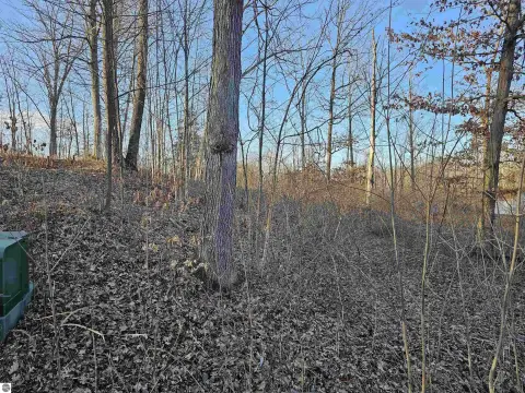 Wooded Lot Near South Dease Lake