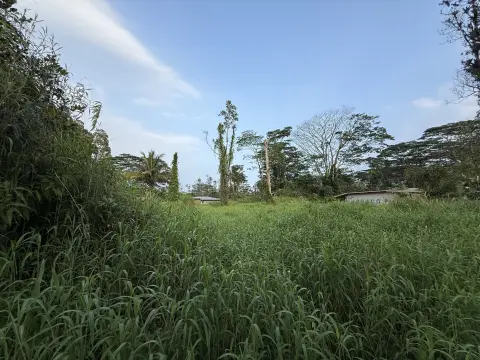 Quarter-Acre Lot in Kurtistown