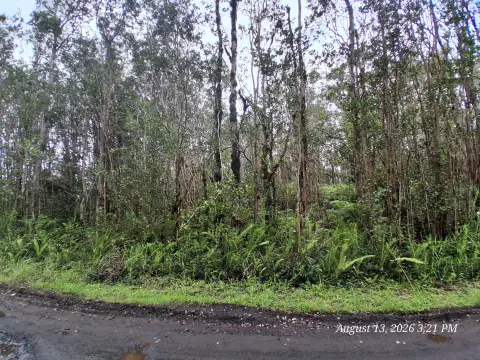 Rainforest Land Parcel