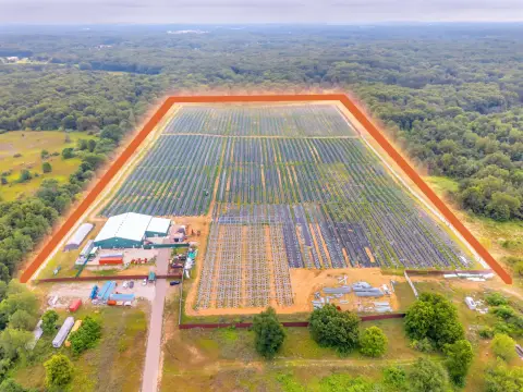 Licensed Cannabis Cultivation Farm