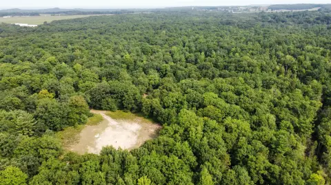 Wooded Recreational Land