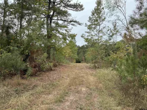 Henderson, TX Rural Acreage