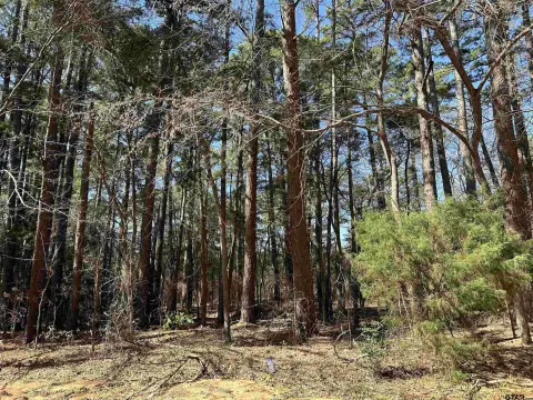 Residential Lot with Lake Access