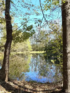 5.48 Acres with Spring-Fed Pond