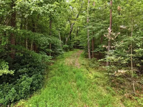 Caney Fork Riverfront Land