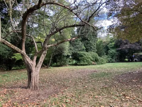 Brookline Land in Premier Estate