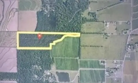 Land Near Iota, Louisiana