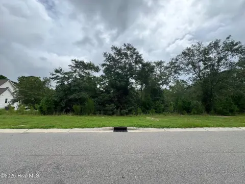 Leland Land Backing Green Space