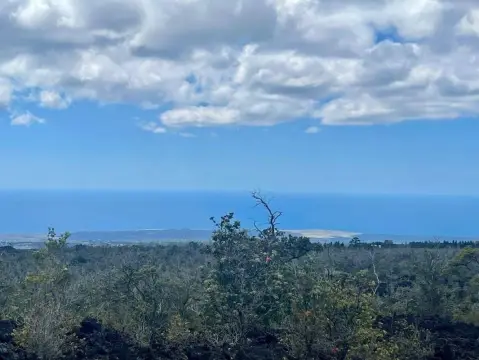 Ocean View Acreage Opportunity