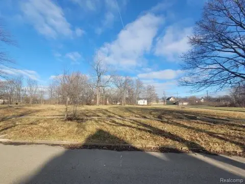 Detroit Vacant Land Parcels