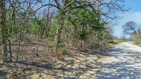 Gainesville, TX Treed Land