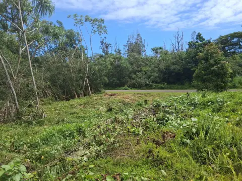 Cleared Land Parcel