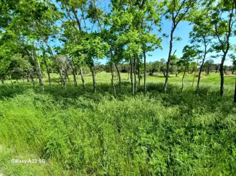 Unrestricted Land Near Burnet, TX