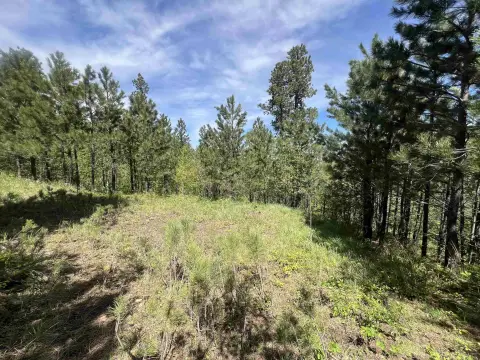 Acreage Lot Near Spearfish