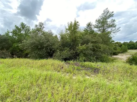 Generous Homesite in Kissimmee Pocket