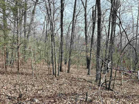 Wooded Lot with Lake View