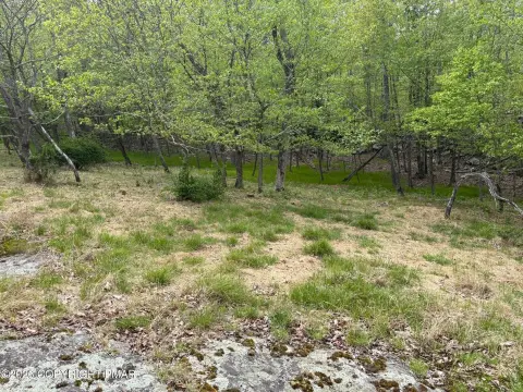 Land in Wilderness Acres Community