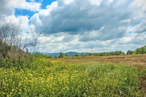 Commercial Land with Dual Frontage