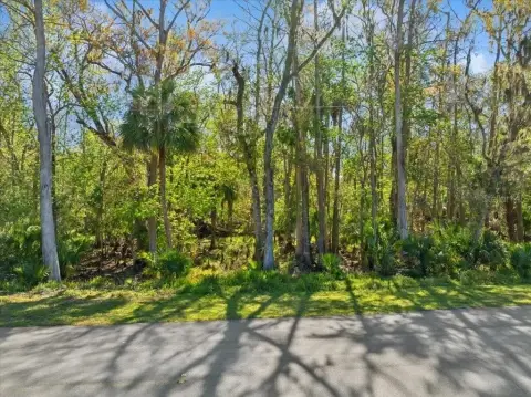 Residential Land in Palm Coast