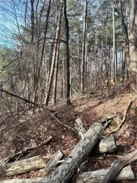 Land in Bent Tree Community