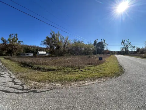 Corner Lot in Elmira, MI