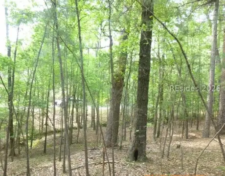 Waterfront Lot in McCormick, SC