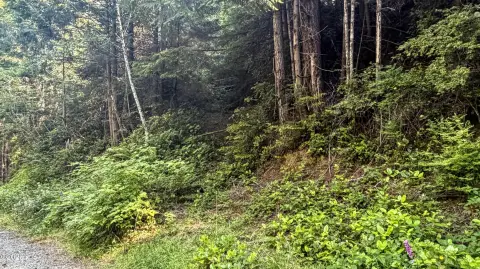 Riverfront Recreational Land Parcel