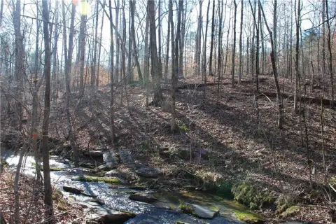 40 Acres of Land, Auburn