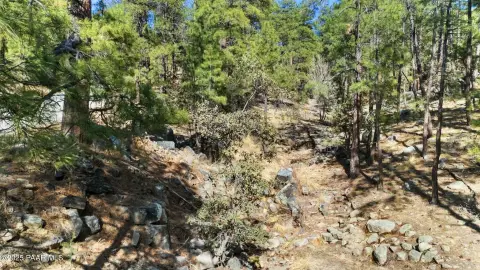 Land Near Prescott National Forest