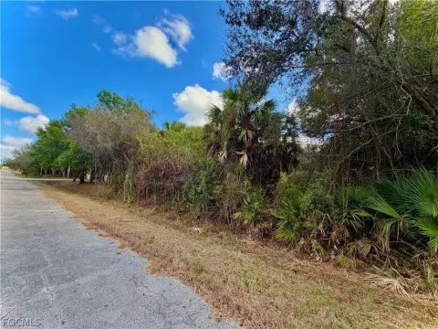 Lehigh Acres Half Acre Land