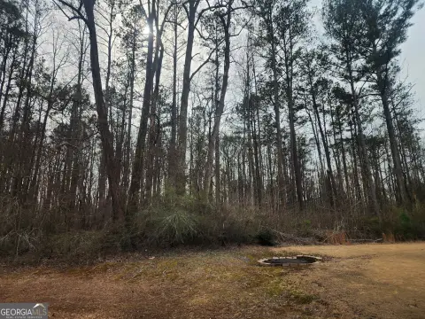 Residential Land in Stonecrest, GA