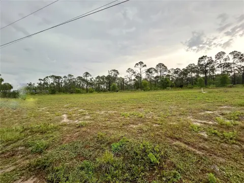 Residential Lot in Cape Coral