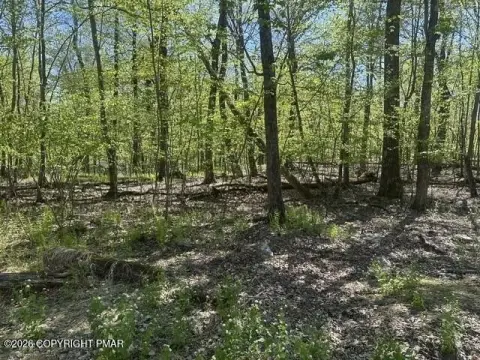 Pocono Land for Dream Home