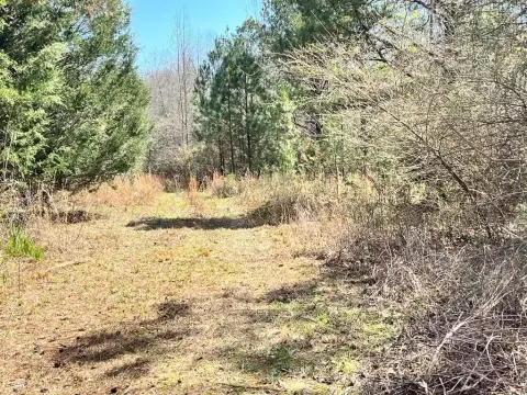 Recreation Land Homesite