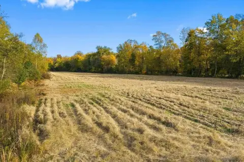 Agricultural Land with Stocked Pond