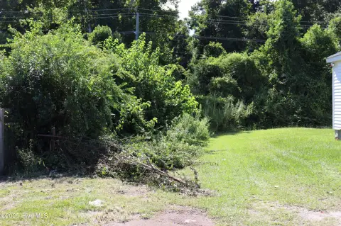 Buildable City Lot in Wilmington