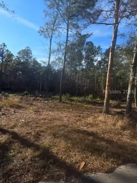 Ridgeland Land Parcel For Sale